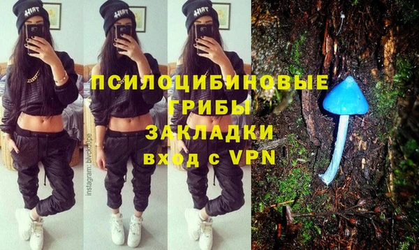 СК Нея