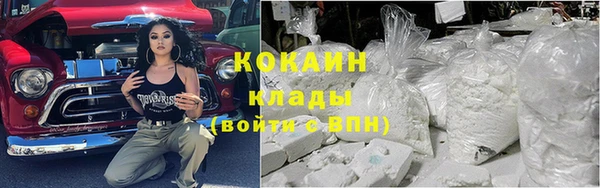 прущие грибы Нефтекумск