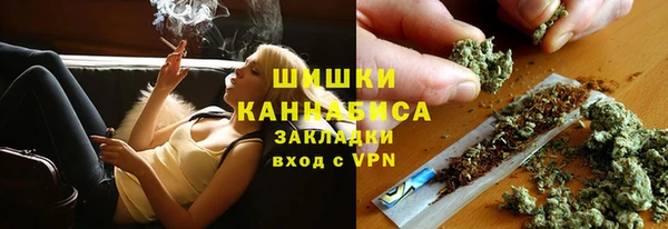 прущие грибы Нефтекумск