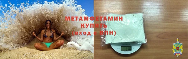 прущие грибы Нефтекумск